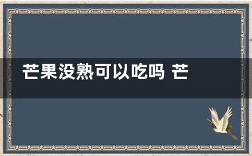芒果没熟可以吃吗 芒果没书可不可以吃(芒果没熟可以吃吗***)